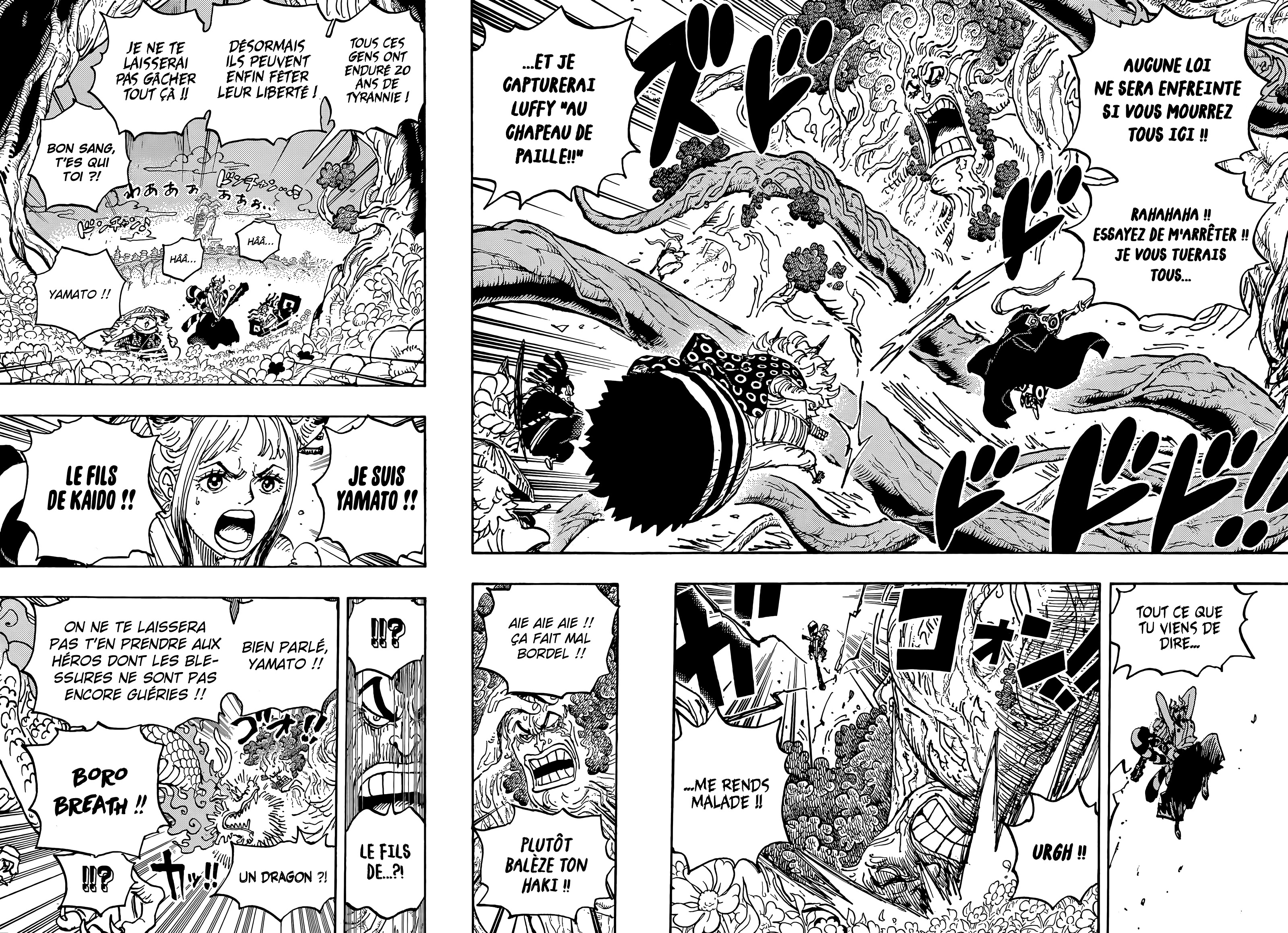 Read One Piece fr Manga Online