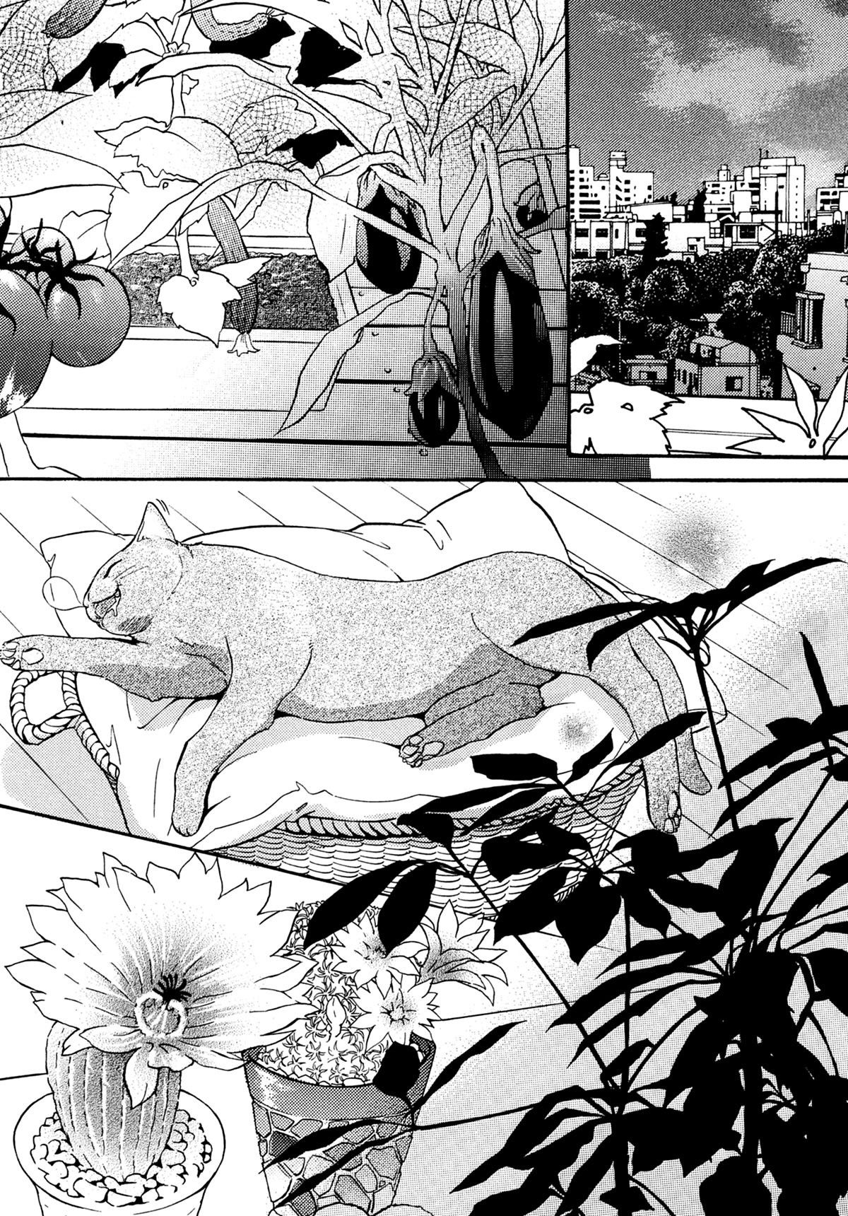 Read Punch Up fr Manga Online